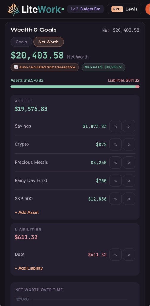 LiteWork Finance net worth tracking on mobile